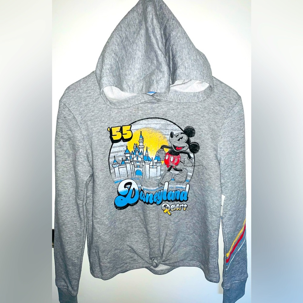 NWT Disney Parks hoodie. Size small. Or kid’s medium